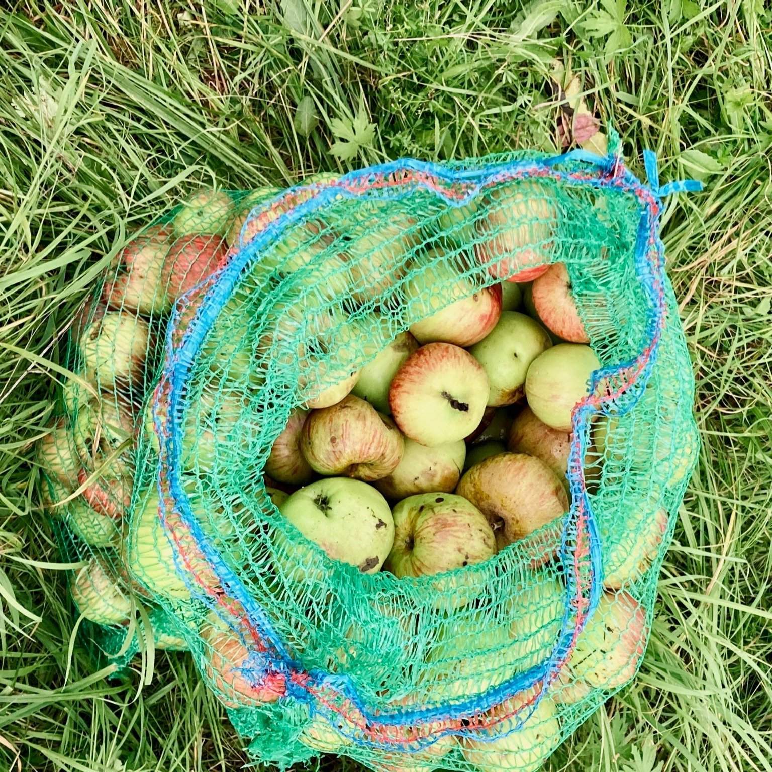 Ciderwerkstatt Böhm Streuobstäpfel im Netz